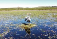 Photography winners announced