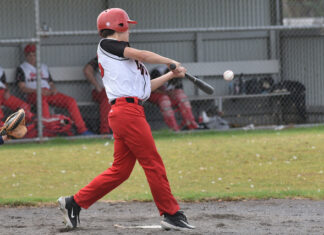 Big innings provides South with victory