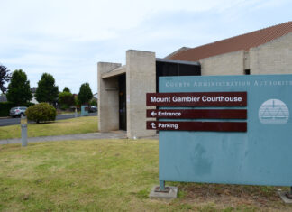 Hundreds of animals removed