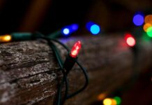 2025 Limestone Coast Christmas Lights