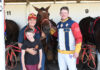 Irish horse claims Bordertown cup