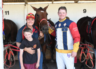 Irish horse claims Bordertown cup