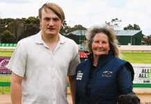 The heat is on Wind Whiskers