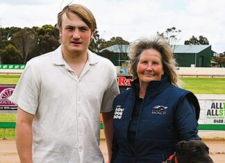 The heat is on Wind Whiskers