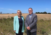 Braes puts name forward