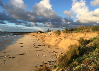 Wattle Range tackles Southend coastal erosion