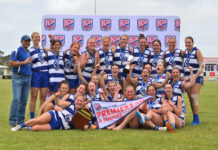 Cats level-up grand final win