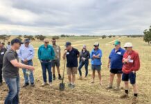 Landscape grants open