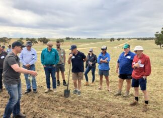 Landscape grants open