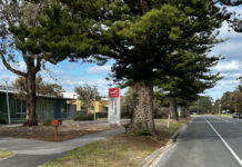 Vocational qualifications higher than ever