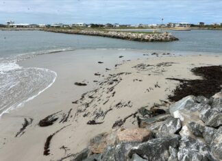 Big spending for marina