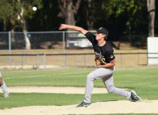 Turner’s triple sparks Central to decisive win