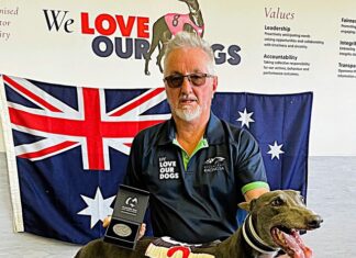 Australia Day winners come from far and wide