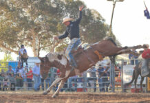Action-packed event at Penola