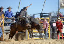 Branxholme rodeo mega pic gallery