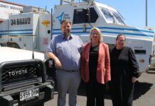 Future-proofing our forests