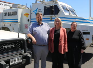 Future-proofing our forests