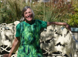 Holmes runs for Greens