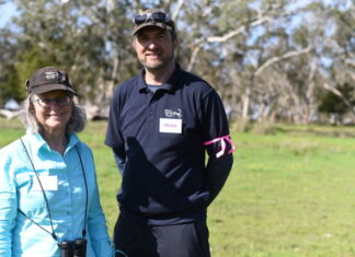 Stage two of wetland underway