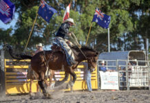 Dartmoor Rodeo mega photo gallery