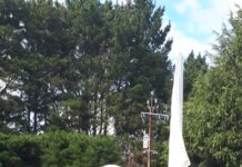 Three-way count-back for women