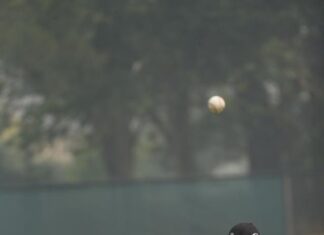 Central claims thriller over Tigers