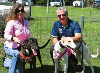 The Price is right for this year’s Mount Gambier Cup