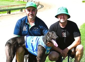 Galento packs a punch on debut at Tara Raceway