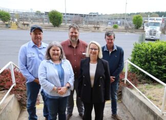 Saleyards kicks off