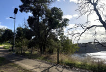 Warwar lit up after upgrade