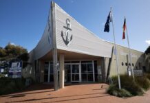 Animal-based holiday fun