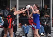 Cats start another season with a win