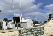 State-level competition in the Blue Lake city