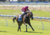Mount Gambier Cup on the radar