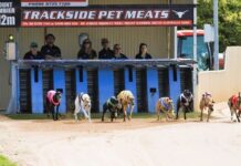 One good turn deserves another