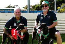 First-up success for Kizzy’s third litter