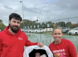 Hamilton plays 250 games