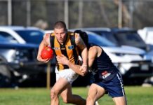 Tigers’ still in the game after player losses