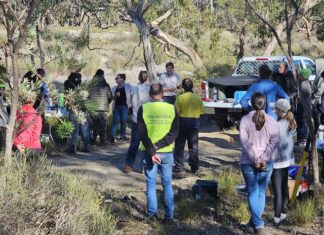 Lend a hand to local lagoons