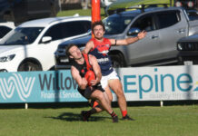 Bulldogs find top form at home