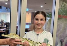 Plenty on at Mount Gambier Library