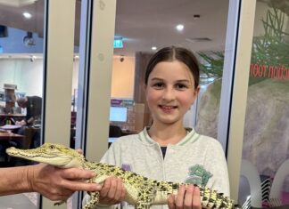 Plenty on at Mount Gambier Library