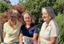 Impressive scores recorded