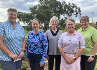 Numbers down at Mount Gambier