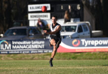 Magpies are more than ‘black-and-white’