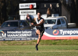 Magpies are more than ‘black-and-white’