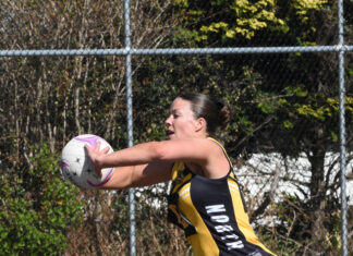 Reigning premiers start odds-on favourite